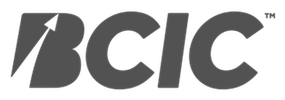 BCIC